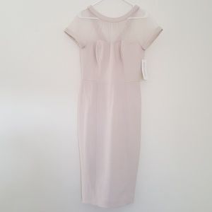 Maggy London Dress - Illusion Top Crepe Dress